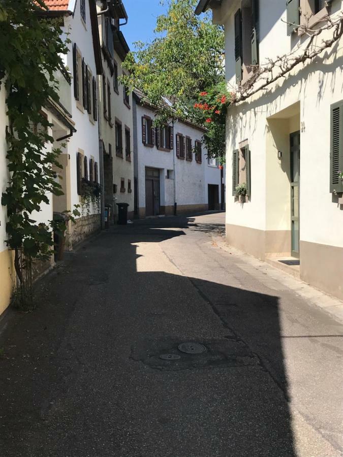 Ferienwohnung Eulenhof Neustadt an der Weinstrasse Exterior photo